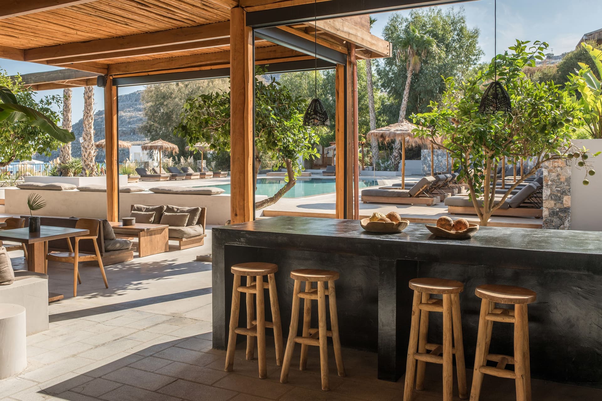 Lemon Tree Bar Image